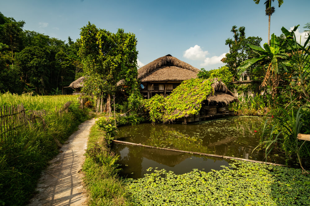 Bwindi Best Accommodation Guide