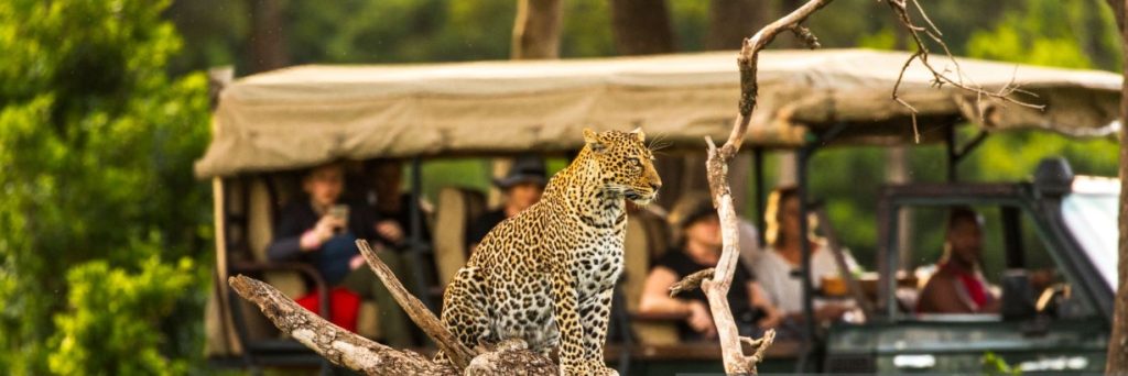 Bwindi Family-Friendly Activities