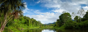 Bugungu Wildlife Reserve's diverse wildlife and landscapes