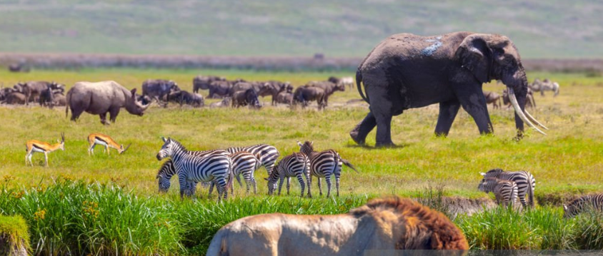 Semuliki National Park in Uganda