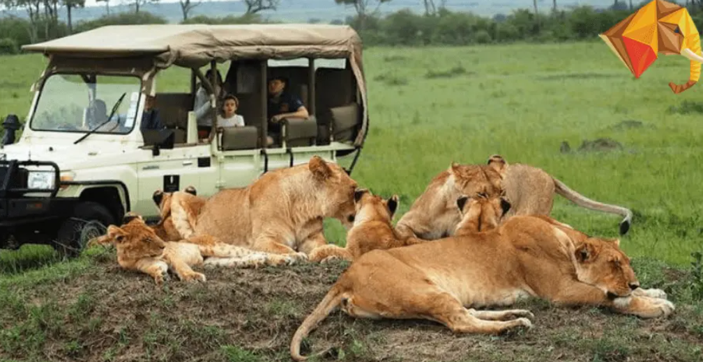 6 Days Kenya scenic Rift Valley escape Tour: Nairobi, Naivasha, Nakuru